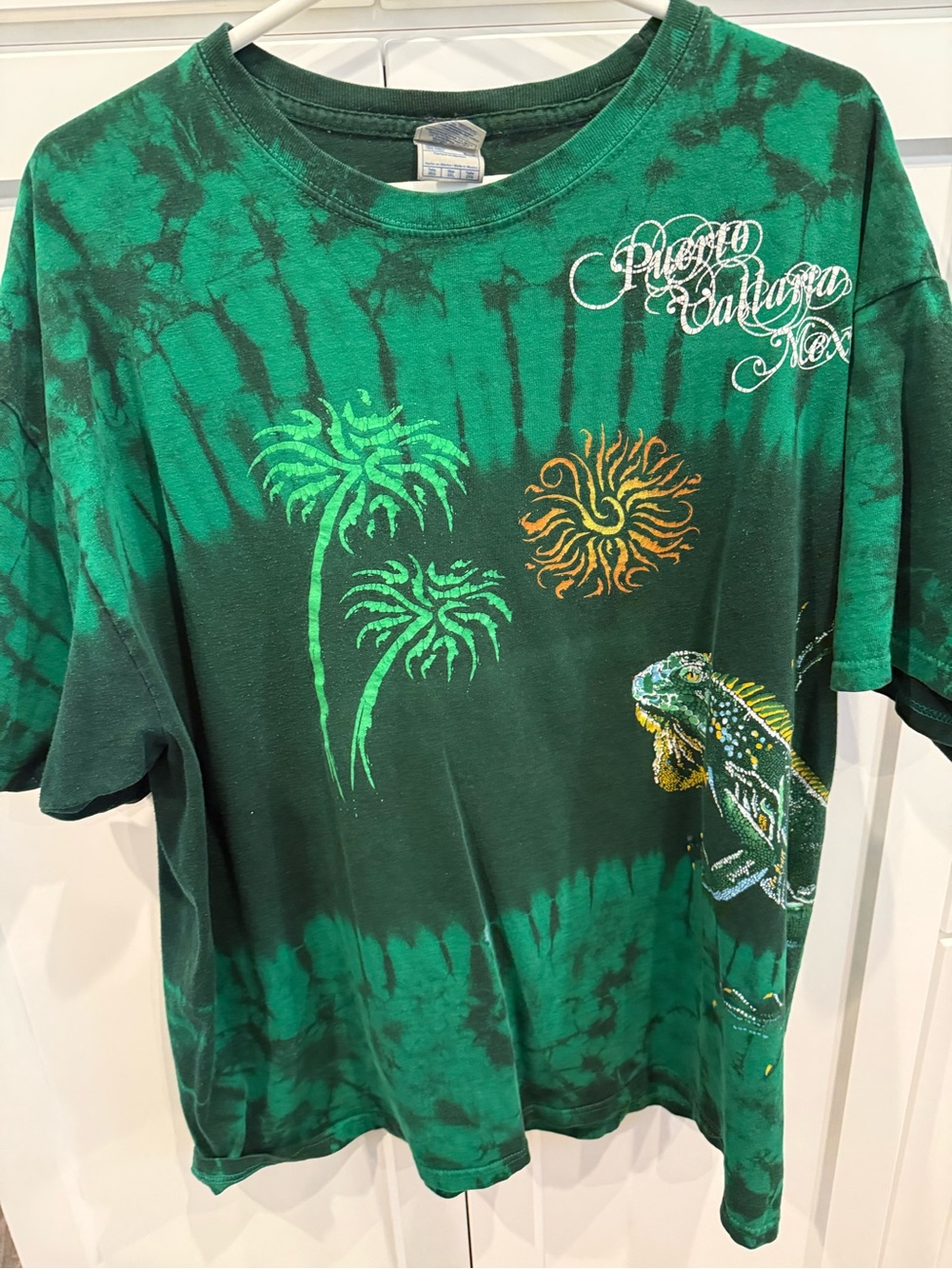 Puerto Vallarta Tie-Dye Graphic Tee in Green